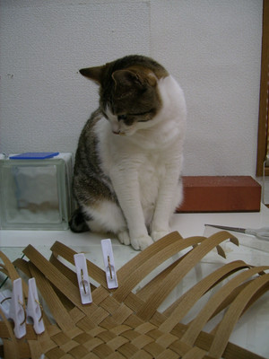 P5050020
