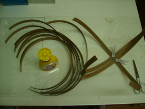 P5050010