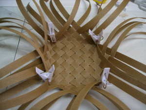 P5050021